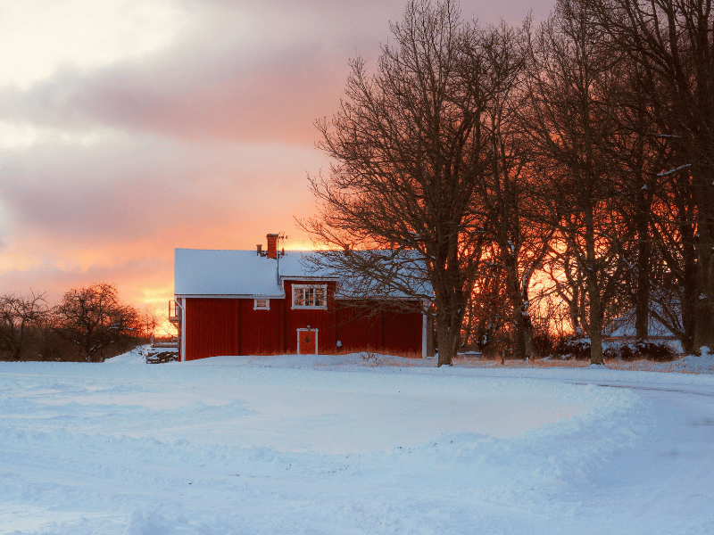 February 2026 in Charlotte: Local Events & Experiences