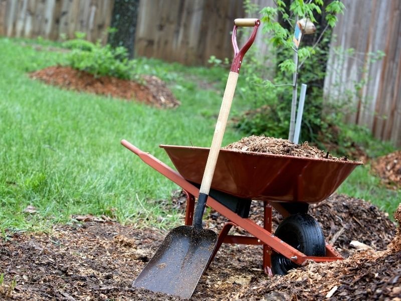 Responsible Decluttering Tips for Earth Day | Charlotte Homeowners