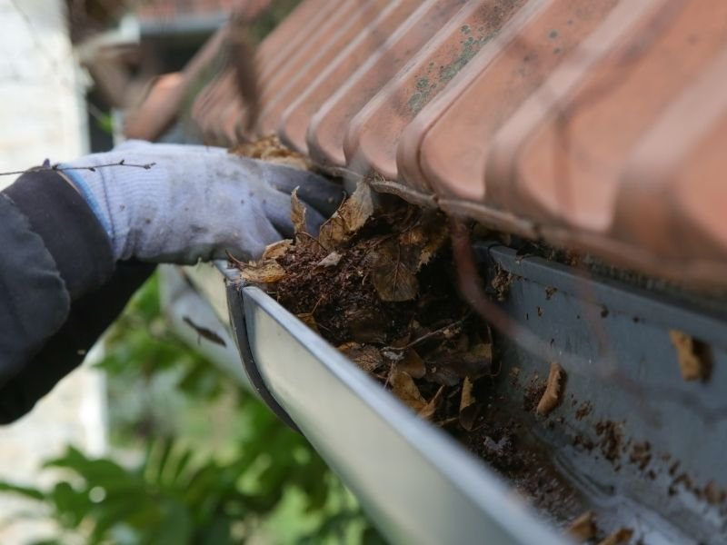 Responsible Decluttering Tips for Earth Day | Charlotte Homeowners